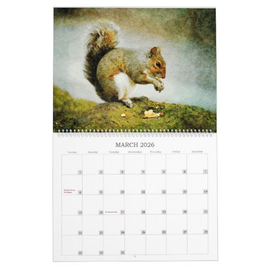 12 Monat - Eichhörnchen Aquarellmalerei Kalender (Mär 2026)