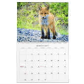 12 Monat - Roter Fox Aquarellbilder Wildlife Kalender (Mär 2027)