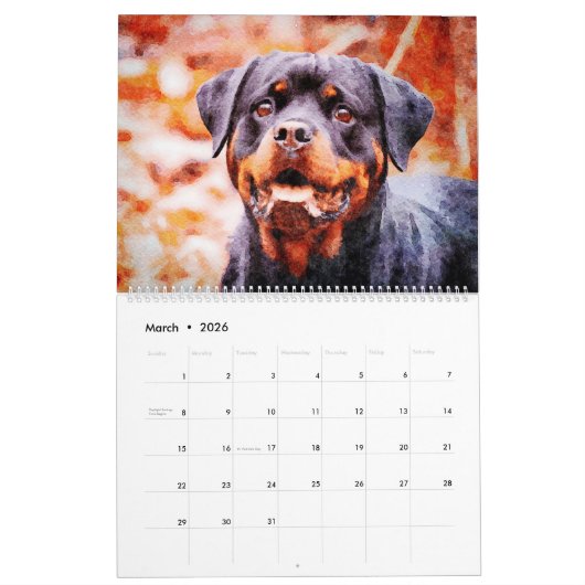 12 Monat Schönes Rottweiler Hunde Wasserfarbengesc Kalender (Mär 2026)