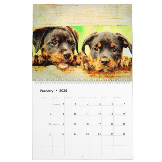 12 Monat Schönes Rottweiler Hunde Wasserfarbengesc Kalender (Feb 2026)