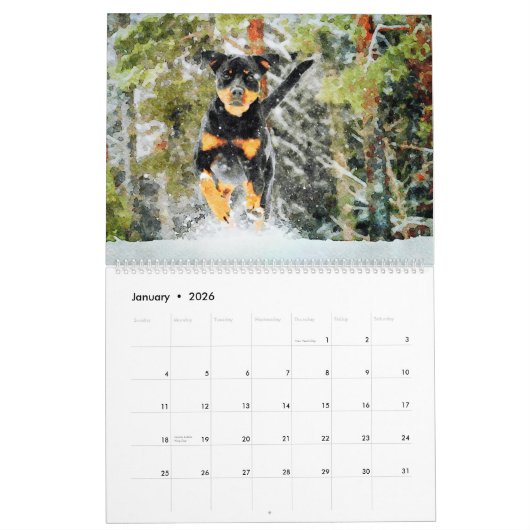 12 Monat Schönes Rottweiler Hunde Wasserfarbengesc Kalender (Jan 2026)