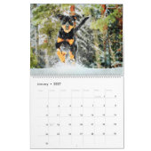 12 Monat Schönes Rottweiler Hunde Wasserfarbengesc Kalender (Jan 2027)