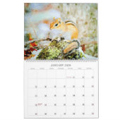12 Monat - Striped chimunks Wildlife Watercolor Kalender (Jan 2026)