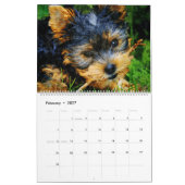 12 Monat Yorkshire Terrier Yorkie Dogs Watercolor Kalender (Feb 2027)