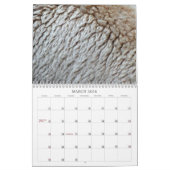 12 Monate Abstrakte Fotografie, 6. Auflage Kalender (Mär 2026)