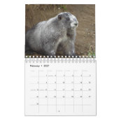 12 Monate Adorable Marmots 2016 Kalender (Feb 2027)