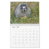 12 Monate Adorable Marmots 2016 Kalender (Mär 2027)