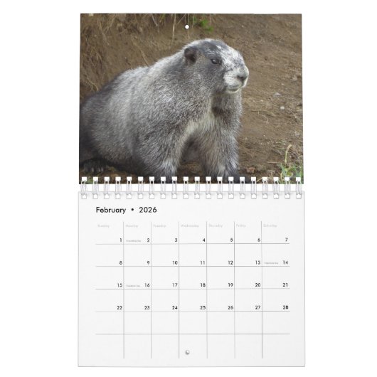 12 Monate Adorable Marmots 2016 Kalender (Feb 2026)