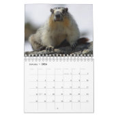 12 Monate Adorable Marmots 2016 Kalender (Jan 2026)