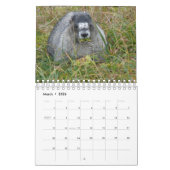 12 Monate Adorable Marmots 2016 Kalender (Mär 2026)