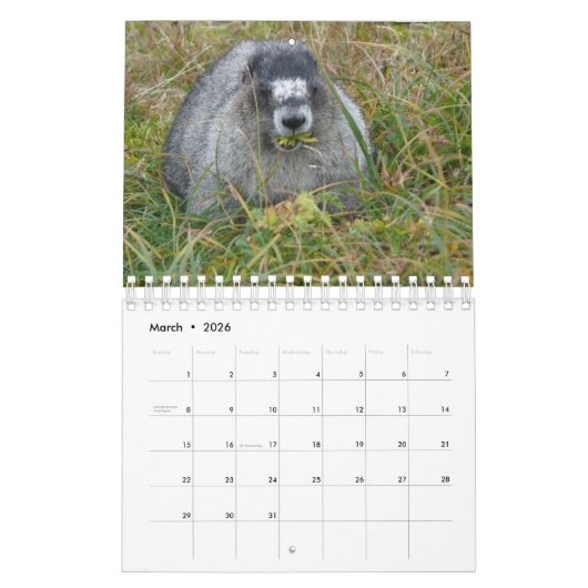 12 Monate Adorable Marmots 2016 Kalender (Mär 2026)