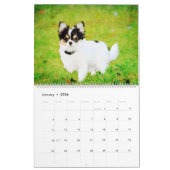 12 Monate Adorable Papillon Dog Aquarellmalerei Kalender (Jan 2026)