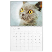 12 Monate Atemberaubend Burmese Katzen Wasserfarbe Kalender (Mär 2026)
