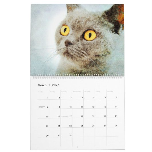 12 Monate Atemberaubend Burmese Katzen Wasserfarbe Kalender (Mär 2026)