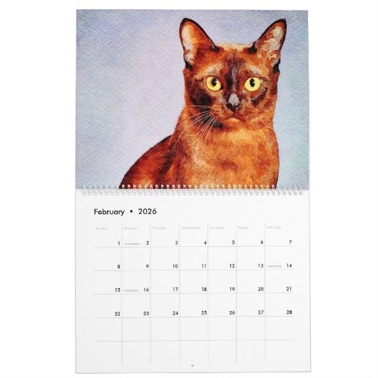 12 Monate Atemberaubend Burmese Katzen Wasserfarbe Kalender (Feb 2026)