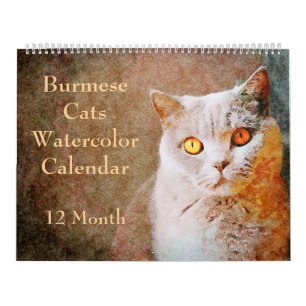 12 Monate Atemberaubend Burmese Katzen Wasserfarbe Kalender