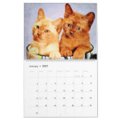 12 Monate Atemberaubend Burmese Katzen Wasserfarbe Kalender (Jan 2027)