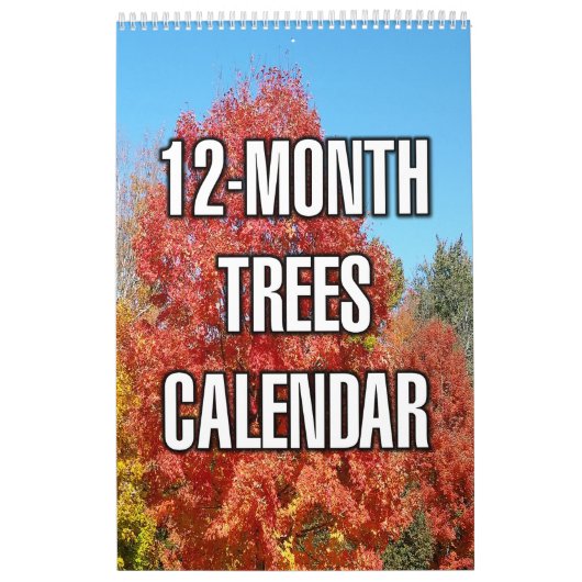 12-Monate-Bäume Kalender (Titelbild)