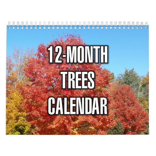 12-Monate-Bäume Kalender (Titelbild)