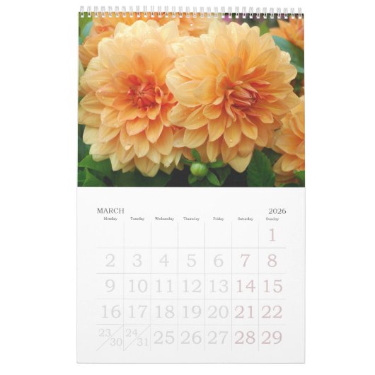 12 Monate Blume Kalender (Mär 2026)