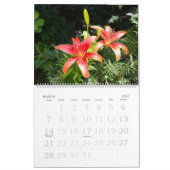 12 Monate Blume Mauerkalender Kalender (Mär 2027)