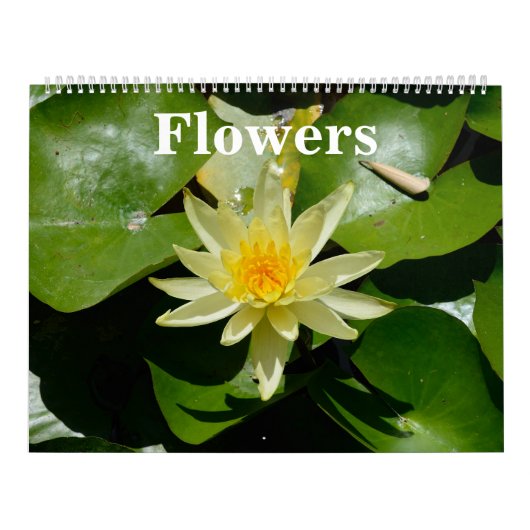 12 Monate Blume Mauerkalender Kalender (Titelbild)