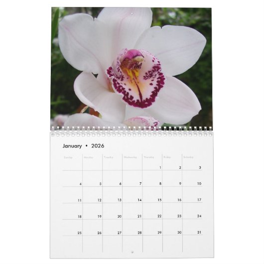 12 Monate Blumenfotografie, 1. Ausgabe Kalender (Jan 2026)