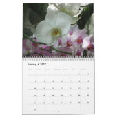 12 Monate Blumenfotografie, 2. Ausgabe Kalender (Jan 2027)