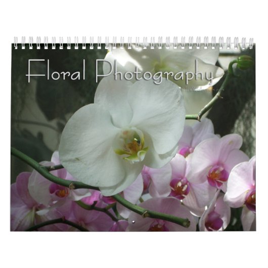 12 Monate Blumenfotografie, 2. Ausgabe Kalender (Titelbild)