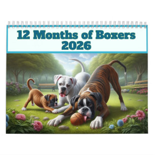 12 Monate Boxer Hunde: Jahr Lange Boxer Dog Spaß Kalender
