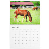 12 Monate Clydesdale Heavy Horse Watercolor Gesche Kalender (Mär 2027)