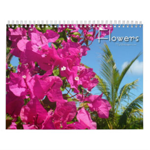 12 Monate der Blumenfotografie, 3. Ausgabe Kalender