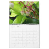 12 Monate der Natur Kalender (Jan 2027)