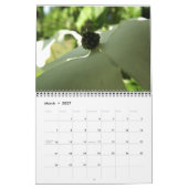 12 Monate der Natur Kalender (Mär 2027)