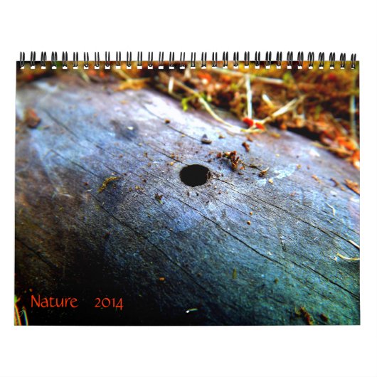 12 Monate der Natur Kalender (Titelbild)