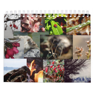 12 Monate des Jahr-Franzose-Kalenders Kalender
