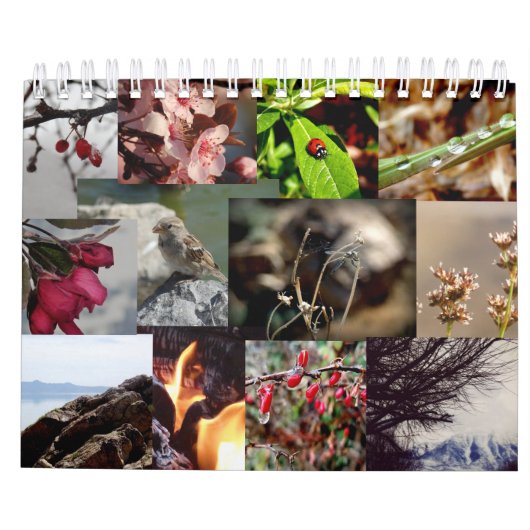 12 Monate des Jahr-Neuseeland-Kalenders Kalender (Rückseite)