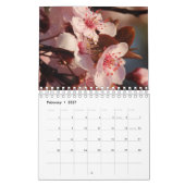 12 Monate des Jahr-Neuseeland-Kalenders Kalender (Feb 2027)