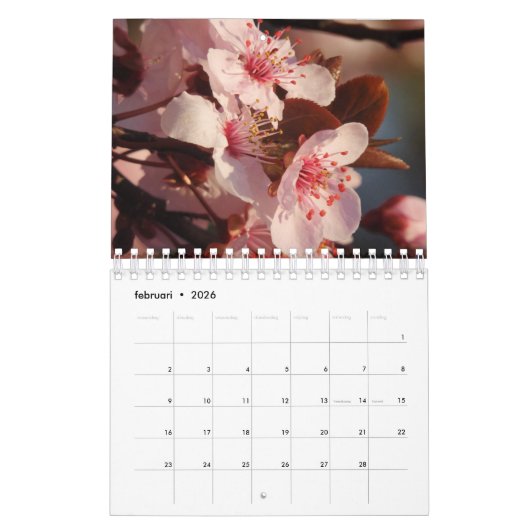 12 Monate des Kalender (Feb 2026)