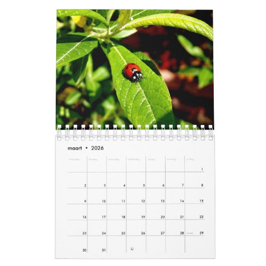 12 Monate des Kalender (Mär 2026)