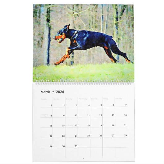 12 Monate Doberman Pinscher Dog Aquarellmalerei Kalender (Mär 2026)