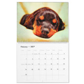 12 Monate Doberman Pinscher Dog Aquarellmalerei Kalender (Feb 2027)