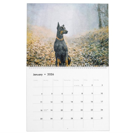 12 Monate Doberman Pinscher Dog Aquarellmalerei Kalender (Jan 2026)