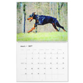 12 Monate Doberman Pinscher Dog Aquarellmalerei Kalender (Mär 2027)