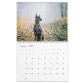 12 Monate Doberman Pinscher Dog Aquarellmalerei Kalender (Jan 2027)