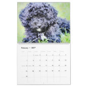 12 Monate Doodle Hunde Aquarelltöne Malerei Kalender (Feb 2027)
