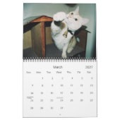 12 Monate Dorkus Kalender (Mär 2027)