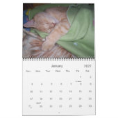 12 Monate Dorkus Kalender (Jan 2027)