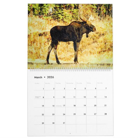 12 Monate - Elche Aquarellbilder Kunst, Dichtung u Kalender (Mär 2026)