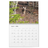 12 Monate Fotografie von Tieren und Wildtieren Kalender (Mär 2026)